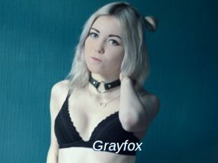 Grayfox