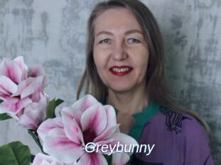 Greybunny