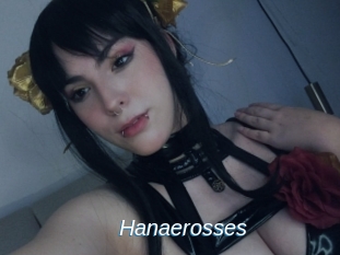 Hanaerosses