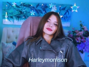 Harleymorrison