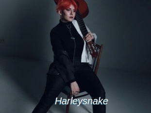 Harleysnake