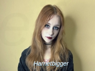 Harrietbigger