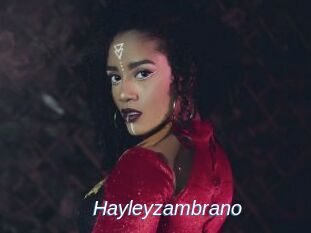 Hayleyzambrano