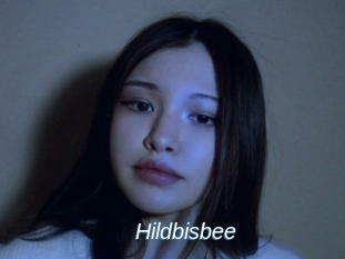 Hildbisbee