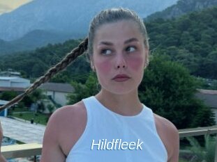 Hildfleek
