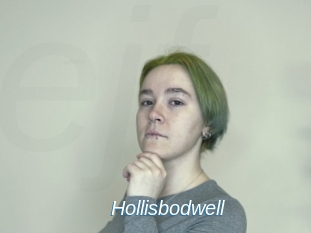 Hollisbodwell