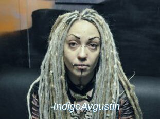 IndigoAvgustin