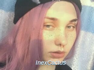 InexCactus Ejaculations Féminines