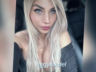 Iggymodel