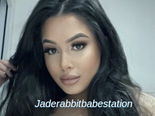 Jaderabbitbabestation
