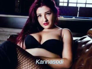 Karinasodi