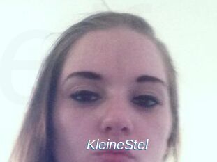 KleineStel
