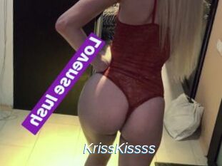 KrissKissss
