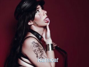 Kamicat