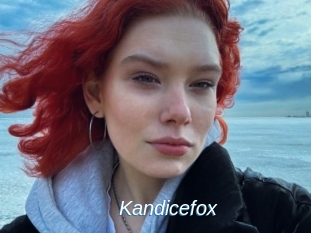 Kandicefox
