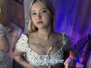 Karinacane