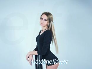 Katelineflower