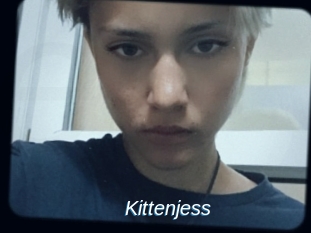 Kittenjess