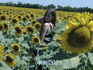 Kitti2023