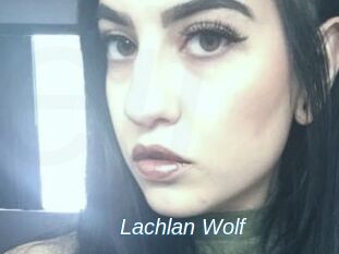 Lachlan_Wolf