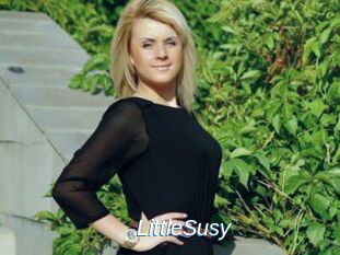 LittleSusy