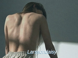 Larssondaisy