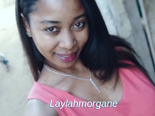 Laylahmorgane