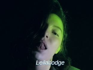 Leilabodge