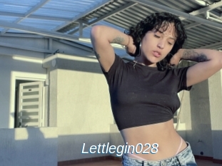 Lettlegin028