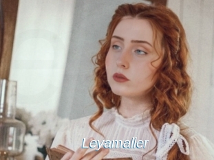 Leyamaller