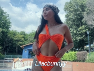 Lilacbunnyy
