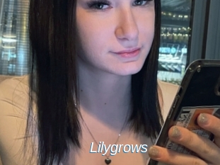 Lilygrows