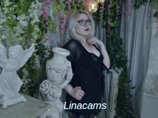 Linacams