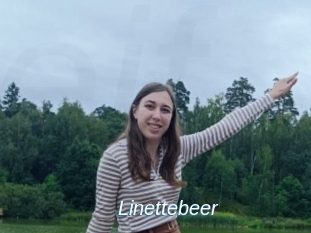 Linettebeer
