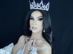Littlesamm