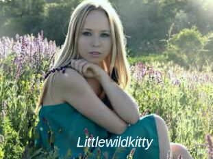 Littlewildkitty