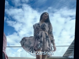 Lizziesnow