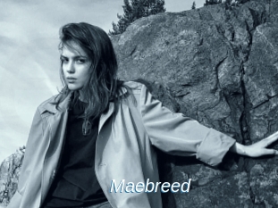 Maebreed