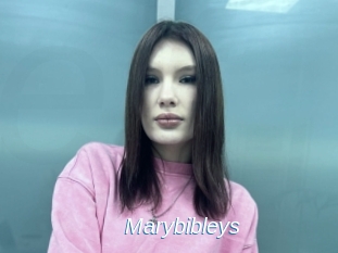 Marybibleys