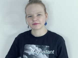 Maygallant