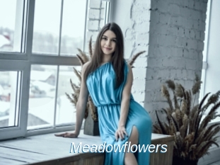 Meadowflowers