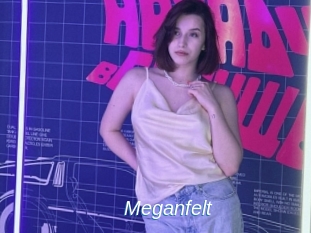 Meganfelt
