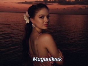 Meganfleek