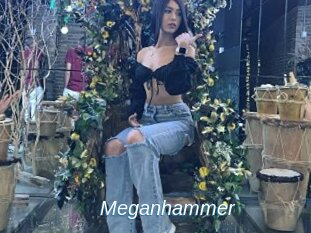 Meganhammer