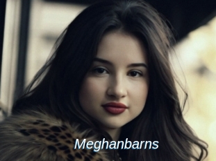 Meghanbarns