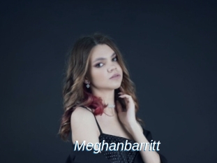 Meghanbarritt