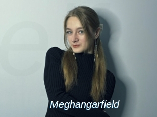 Meghangarfield
