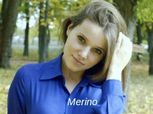 Merino