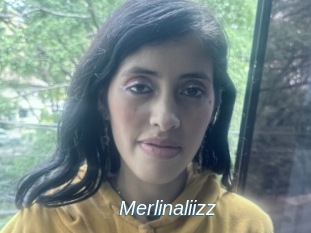 Merlinaliizz