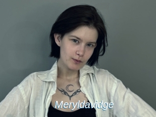 Meryldavidge